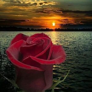 Meet your Posher, Flora